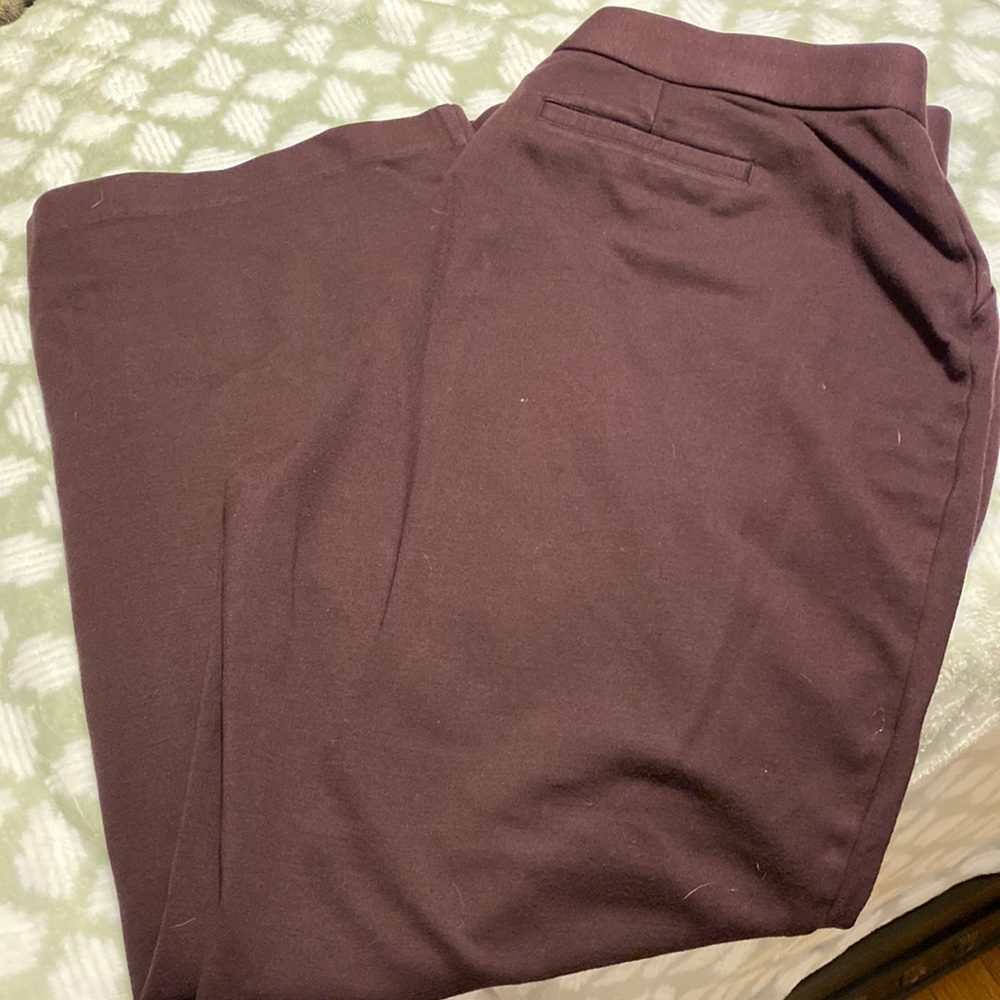 Women’s pants. 1x